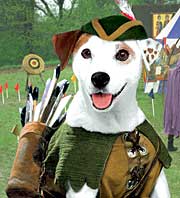 Wishbone, dog hero of a series designed to promote reading