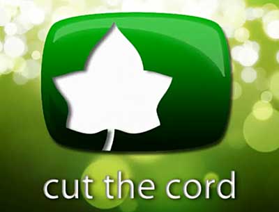 Slogan for ivi: Cut the cord