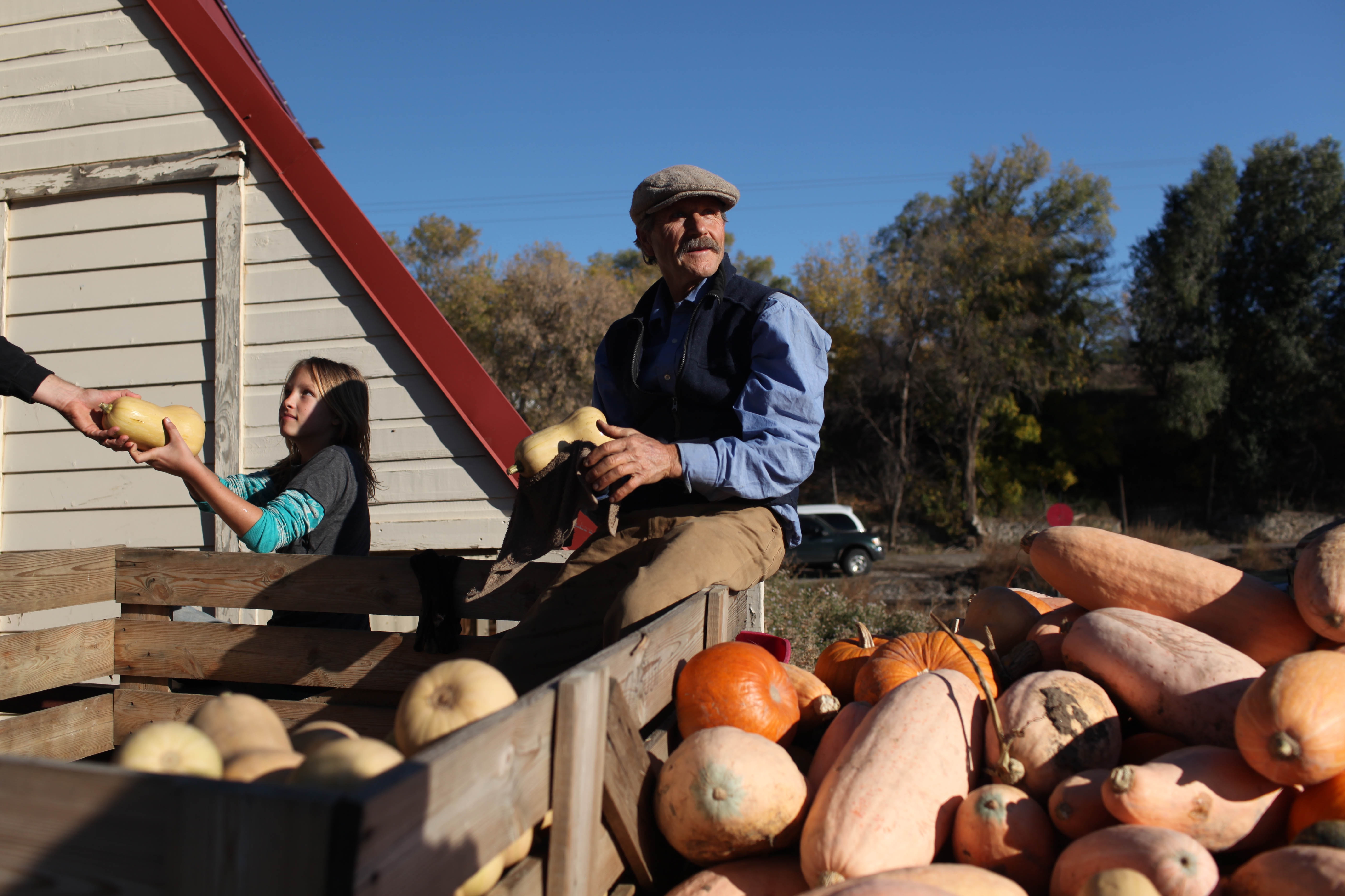 Farmer in Colorado