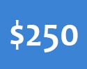 250