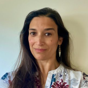 Sitara Nieves, VP of teaching and organizational strategy at the Poynter Institute