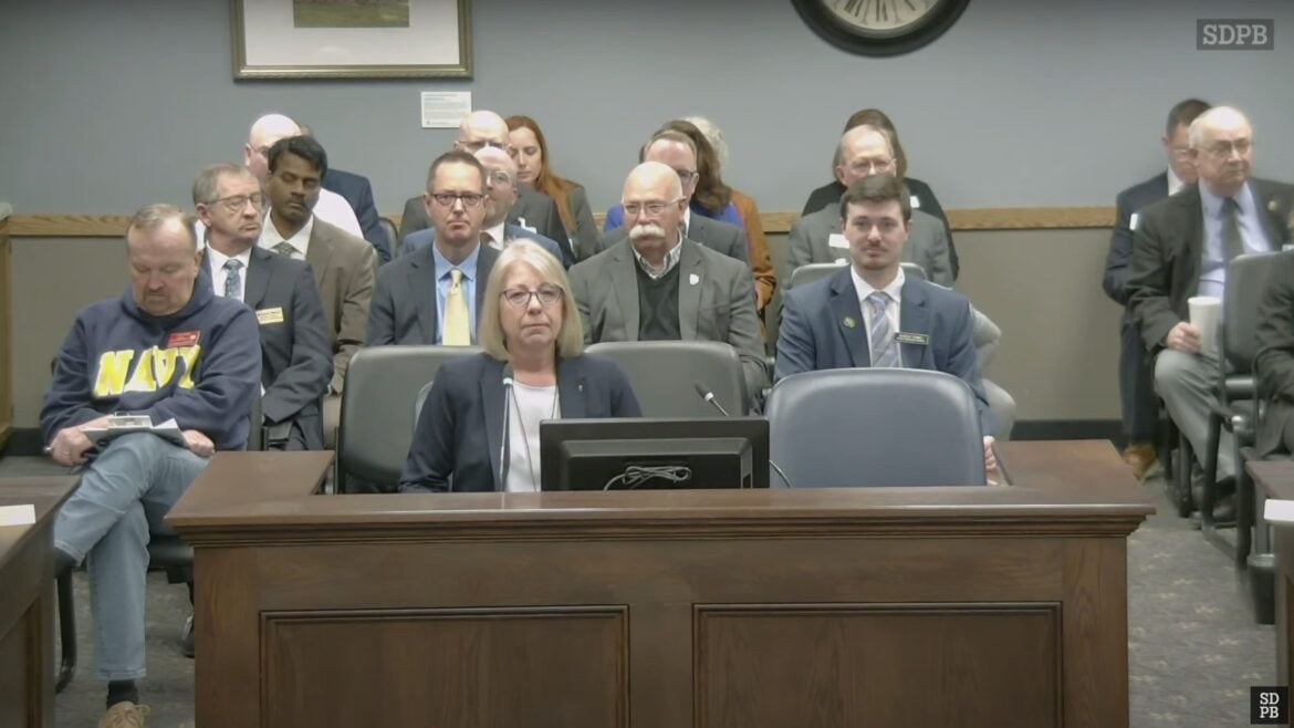 South Dakota Public Broadcasting Executive Director Julie Overgard speaks at a Tuesday committee meeting about the importance of state funding for the network.