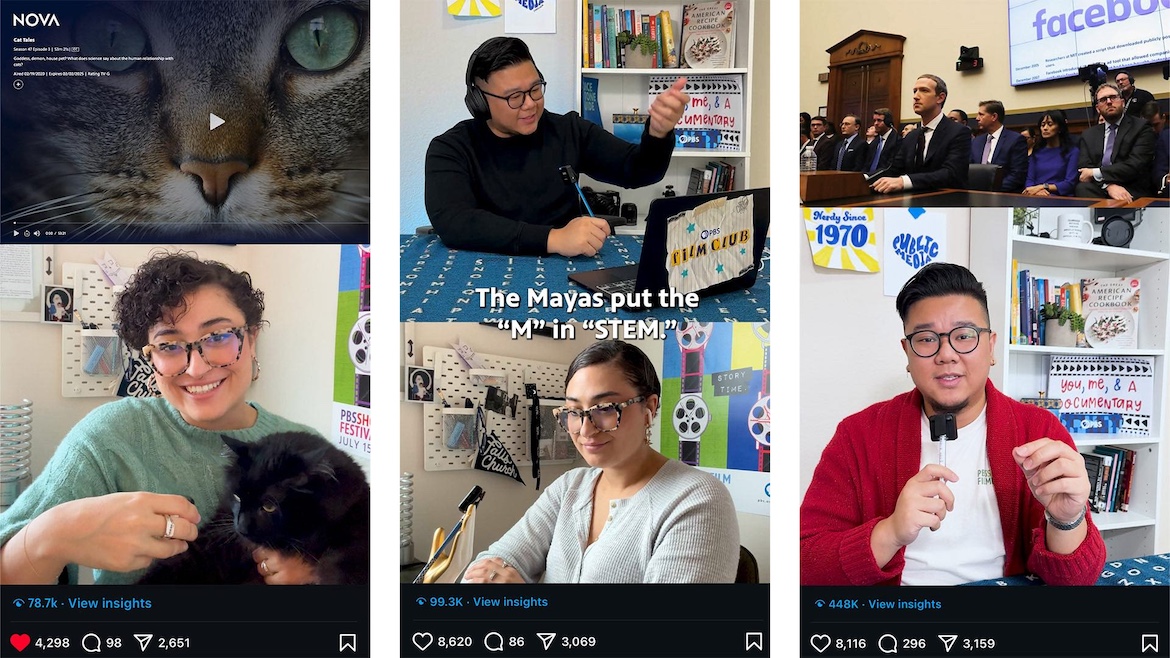 Marissa Pina and her irritated cat in a video about the “Nova” documentary ‘Cat Tales’; Lucky Nguyen and Pina talk about “American Historia”; Nguyen discusses the “Independent Lens” film ‘TikTok Boom.’