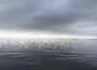 A wide expanse of calm water under a dark, overcast sky. A long, narrow bridge stretches across the horizon in the distance. The scene is moody and serene, with soft ripples on the surface of the water.