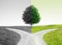 A tree stands at the center of a fork in a dirt road, with the left side of the image in black and white and the right side in color, symbolizing a choice between past and future.