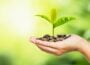 A hand holding a pile of coins with a small green plant sprouting from them, symbolizing growth and investment.