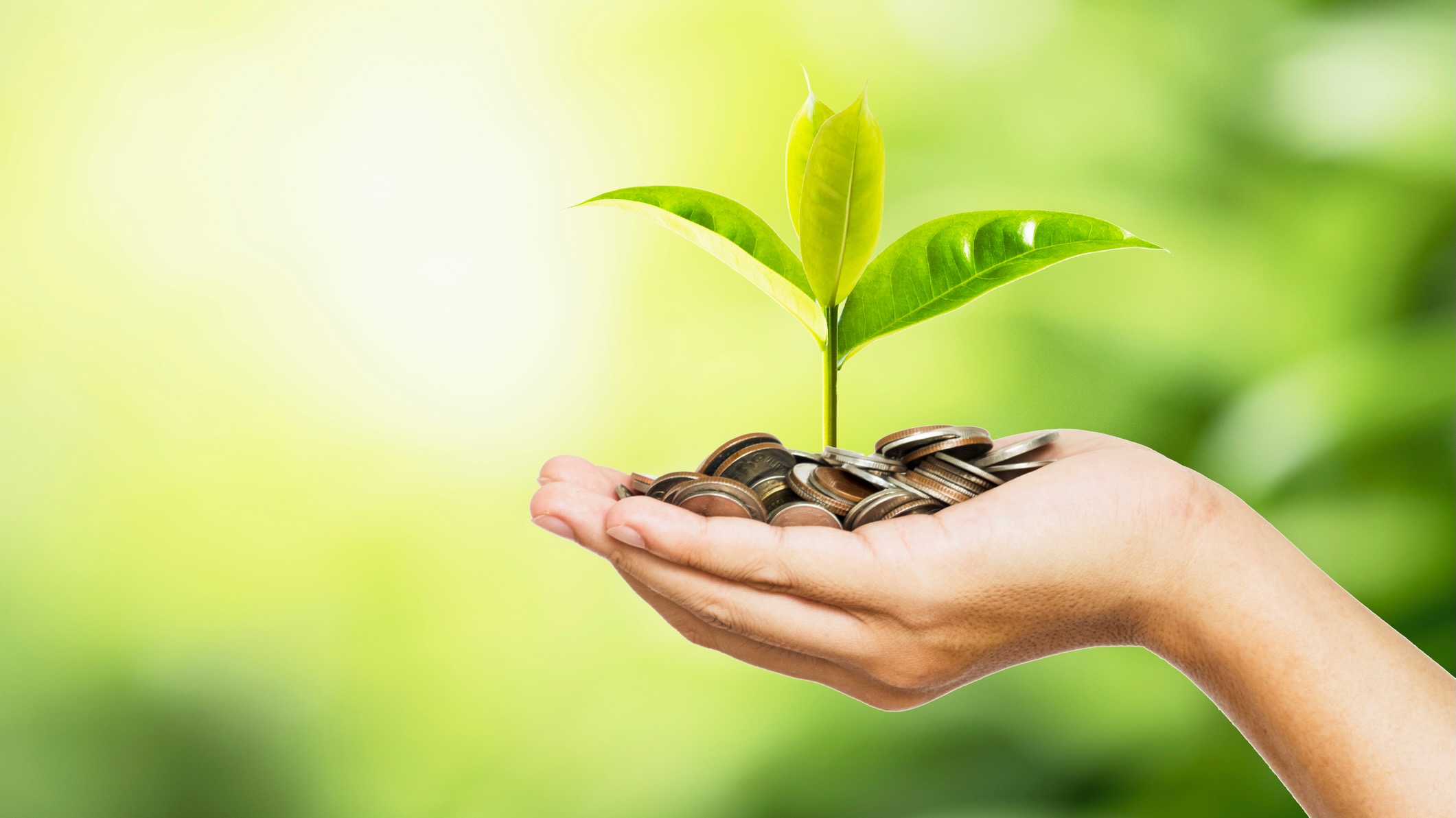 A hand holding a pile of coins with a small green plant sprouting from them, symbolizing growth and investment.