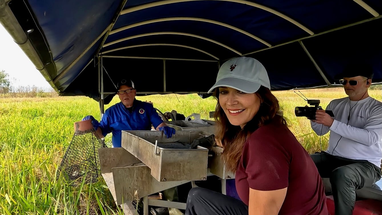 "LA64" host Karen LeBlanc smiles while sitting on a boat in a marsh as Barry Toups demonstrates crawfish harvesting equipment and Ryan Hamilton films the scene.