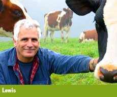 Lewis, white-haired, with hand on cow, black-and-white-haired