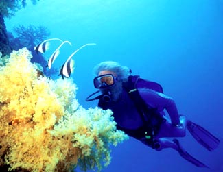 Scene from proposed new Cousteau series